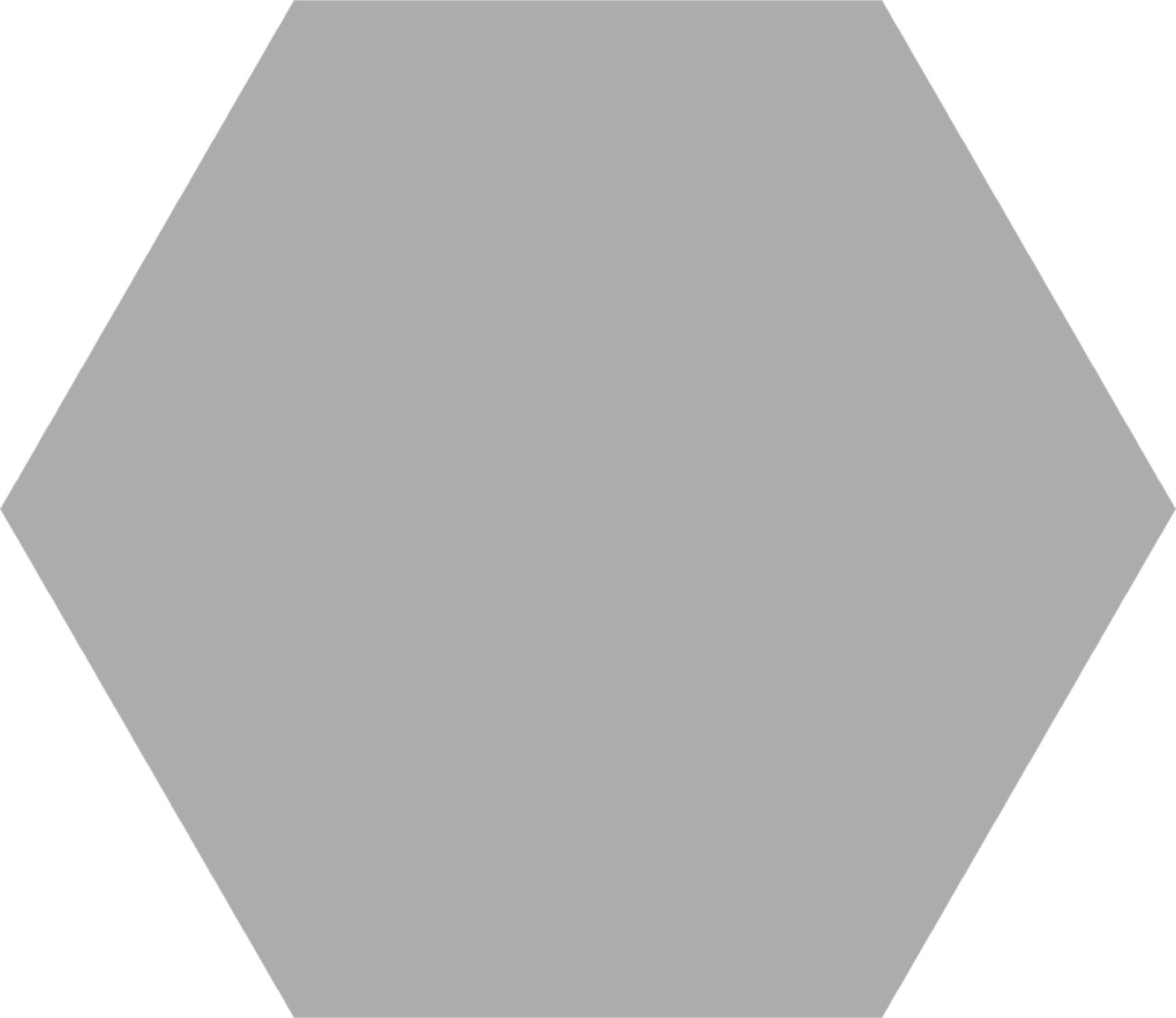 Basic Hex Silver Matte Tile Depot NY